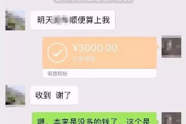 临海如何避免债务纠纷？专业追讨公司教您应对之策